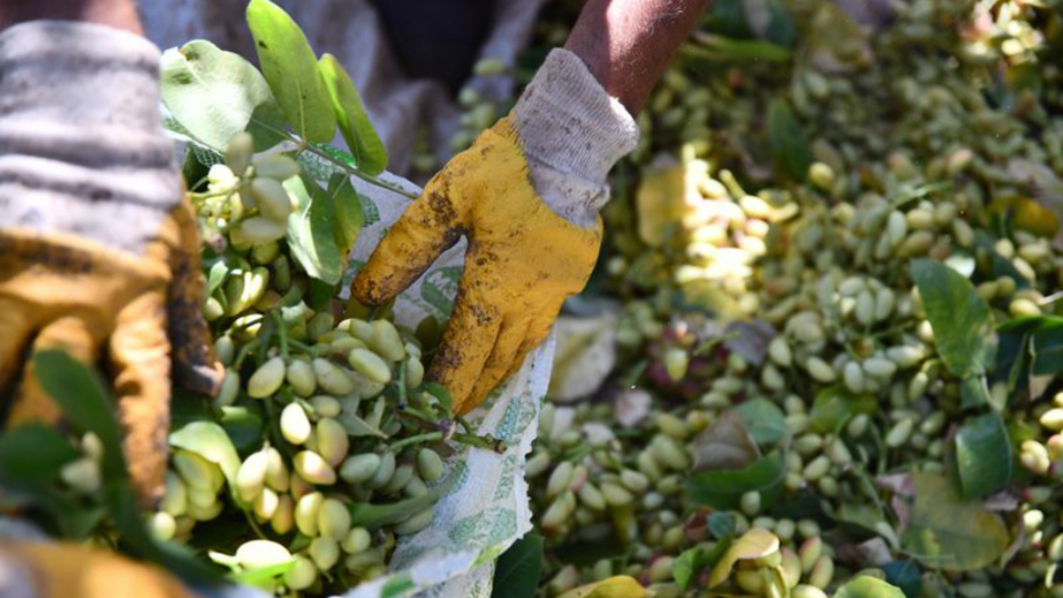 Fiyatı 170 TL'den 95 TL'ye kadar düştü