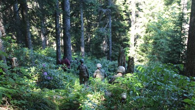 Teröristlere 'eylem yapın' talimatı