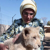 Emine Erdoğan yavru aslanları sevdi