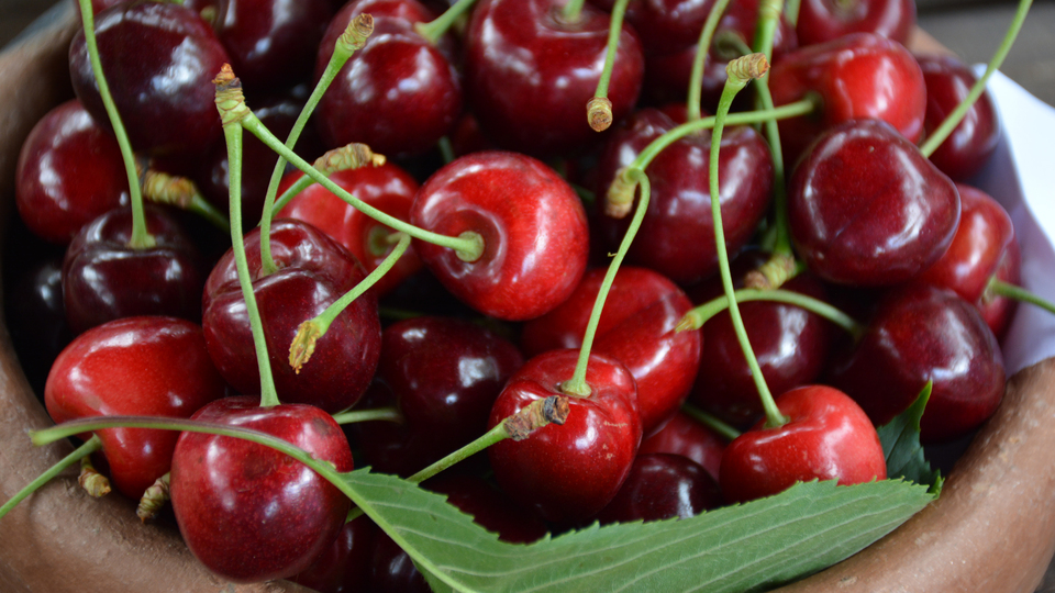 Çinliler Türk kirazı yiyecek
