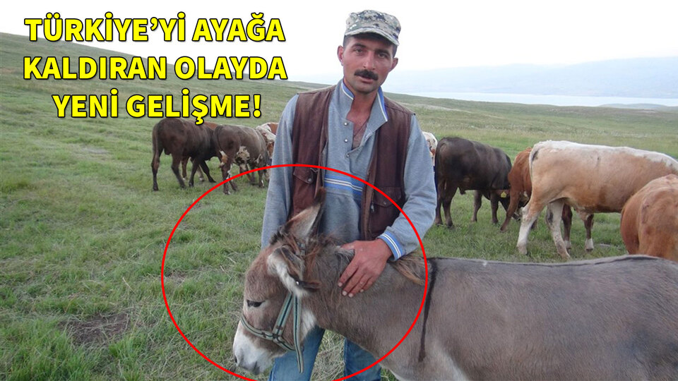 Yaşadıkları işkence sonrası o eşeklere ne oldu?