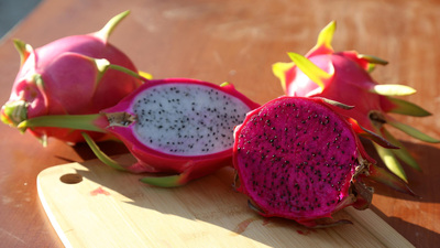 'Ejder meyvesi' Avrupa pazarına çıkacak