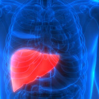 Karaciğeri yağlandıran alışkanlıklar!