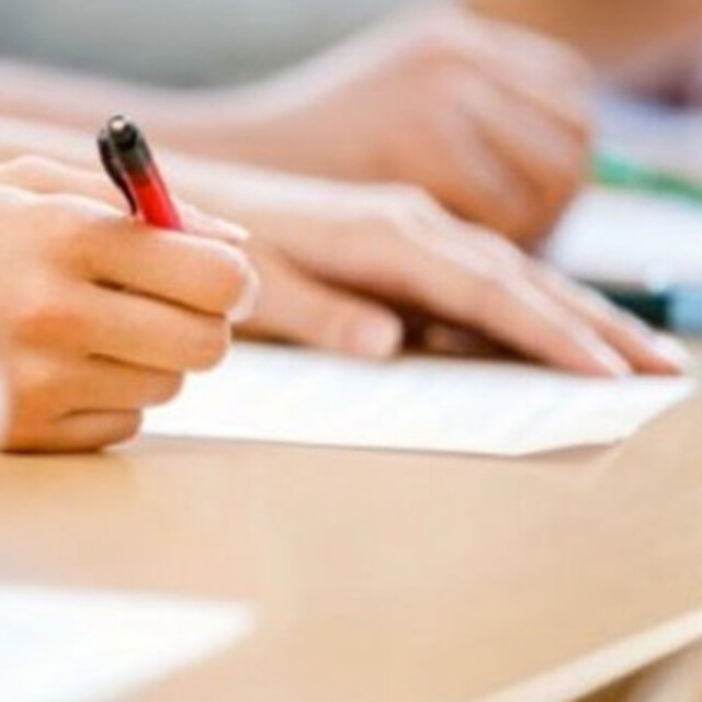 Yerleştirme puanı nedir?
