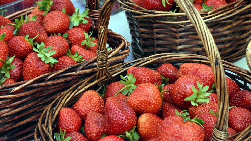 Vali Hanım'da kalite tamam!