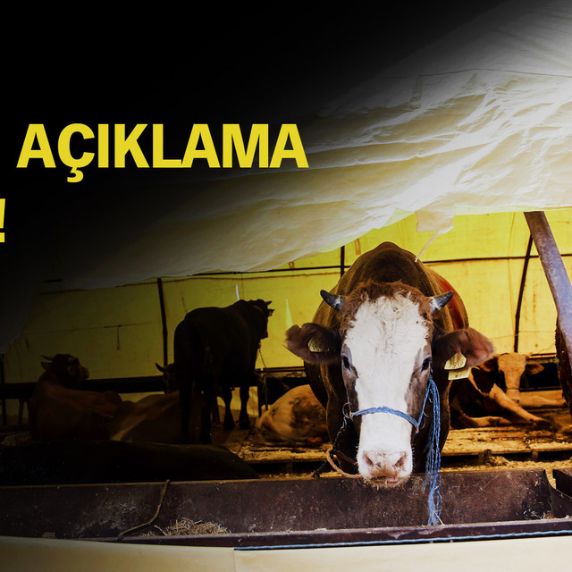 Kurban Bayramı tatili ne zaman başlıyor?