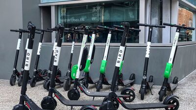 O 'çılgınlık' dünyaya yayılıyor