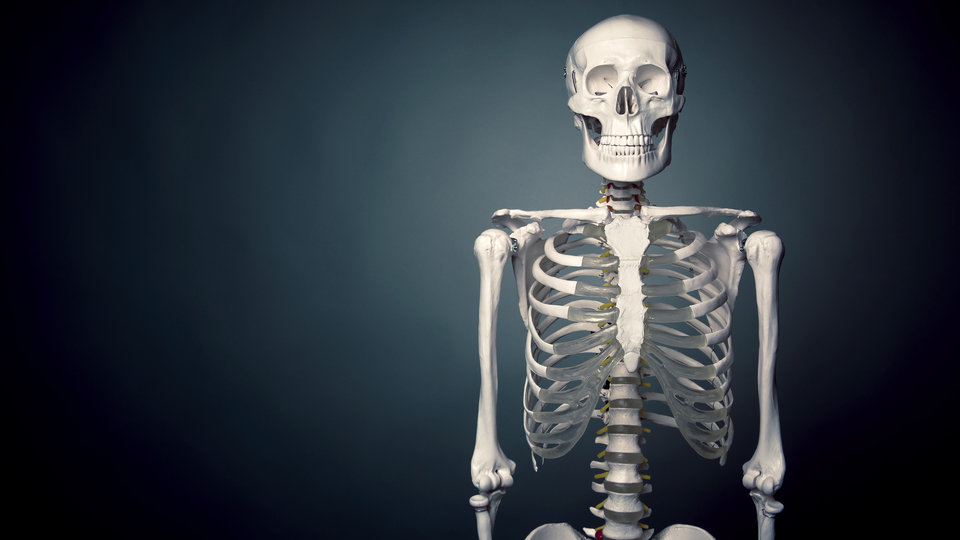 Bu hastalıkları duyunca halinize şükredeceksiniz!