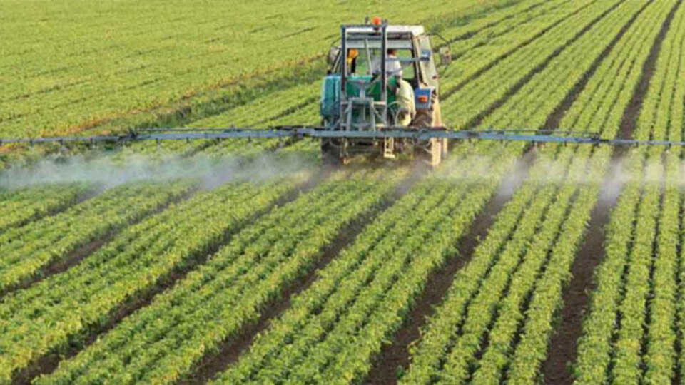 Türk şirketlere Sudan'dan yatırım daveti