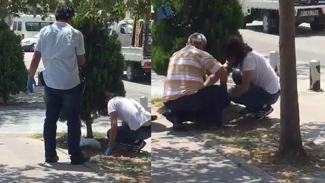 Gece ağacın altına bir şey gömdüğünü gördüler, sabah baktıklarında...