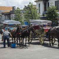 Adalar'da yeni dönem!