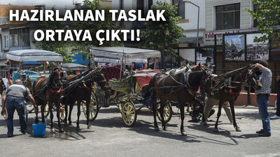 Adalar'da yeni dönem!