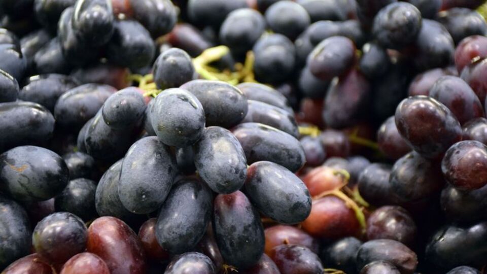 Bu meyveler kan şekerini düşürüyor, kanseri önlüyor