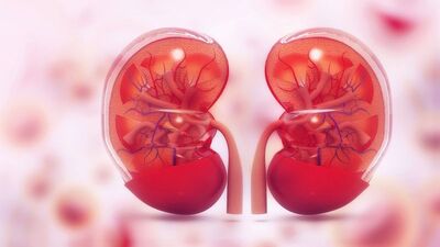 Ömer, organlarıyla 3 kişiye can olacak