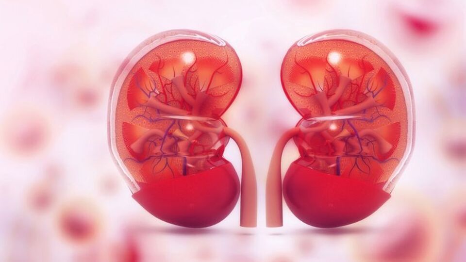 Ömer, organlarıyla 3 kişiye can olacak