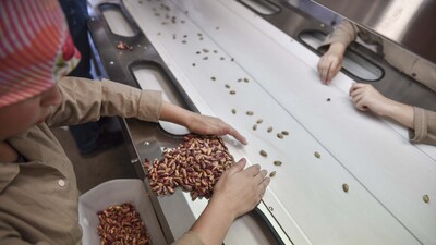 Fiyatı yarı yarıya düştü! Etikete de yansıyabilir