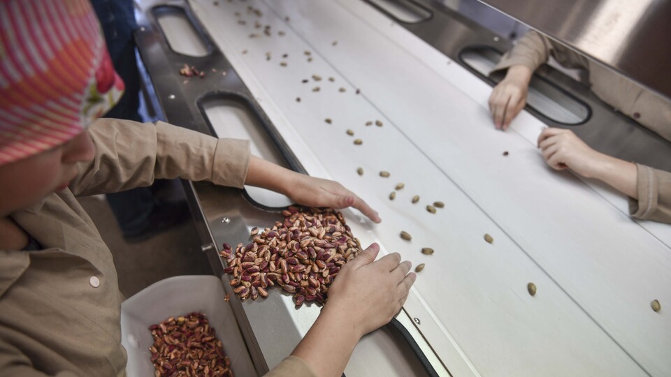 Fiyatı yarı yarıya düştü! Etikete de yansıyabilir