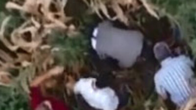 Cezaevi firarisi saklandığı mısır tarlasında drone ile yakalandı