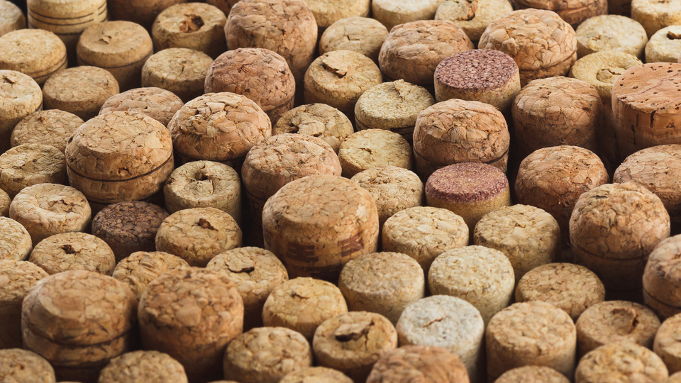 Alkol bağımlılığından işte böyle kurtuldular!