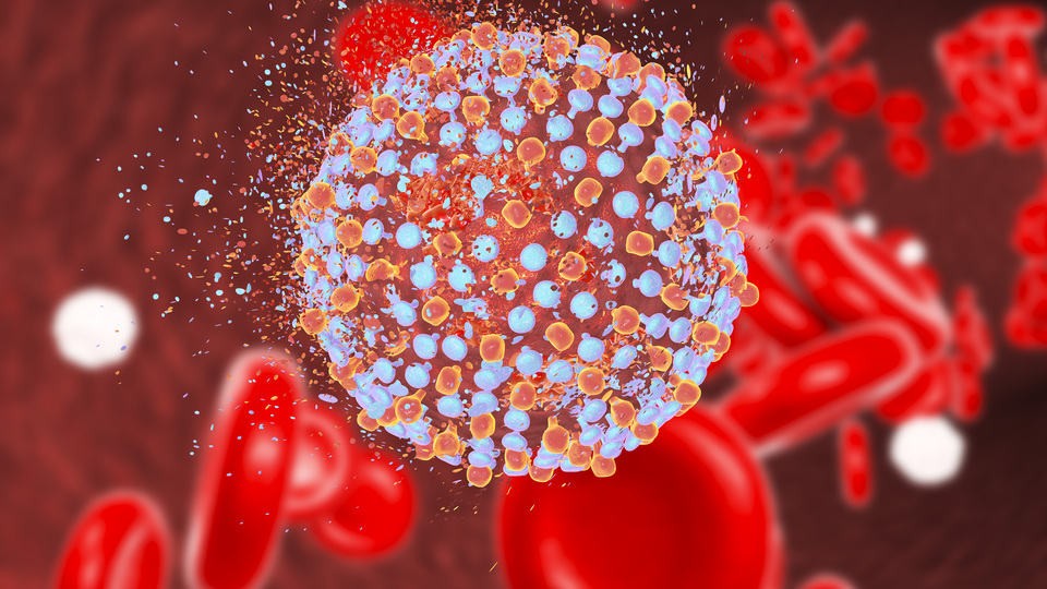 Kansere karşı gıda takviyesi üretti!