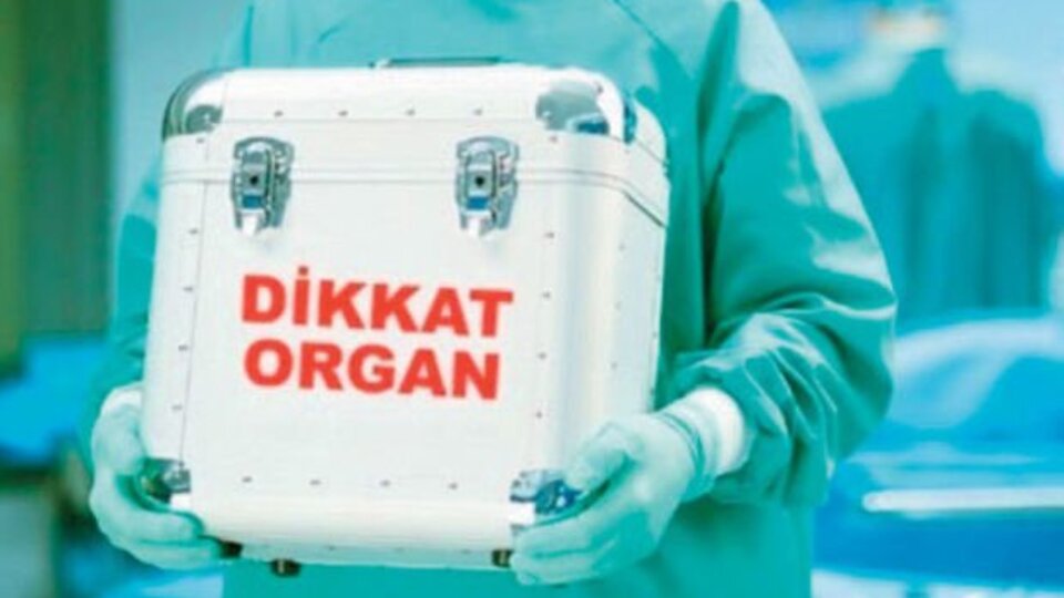 Ardıç çamındaki meyvelerin suyunu içmişti! Üç hastaya umut oldu