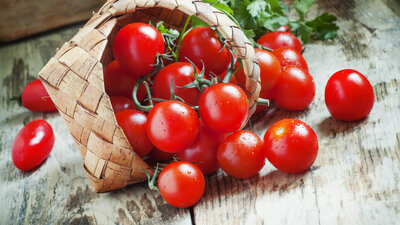 Stresle tatlanan domates geliştirdiler