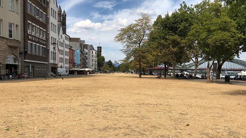 Ülkede sıcaklık 40 dereceye yükseldi... Yeşil alanlar ve göller kurudu