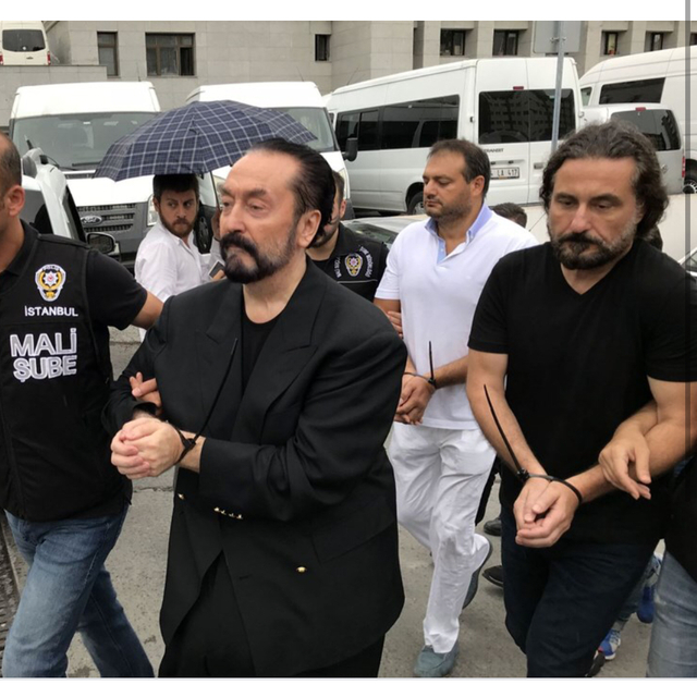 Fotoğraftaki detayı eski kedicik açıkladı