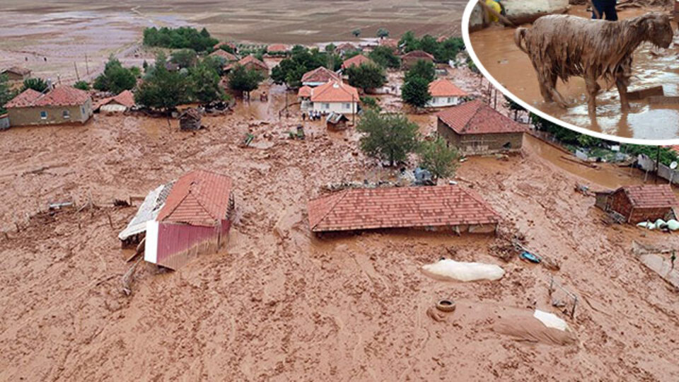 Tarım arazileri zarar gördü, hayvanlar öldü!