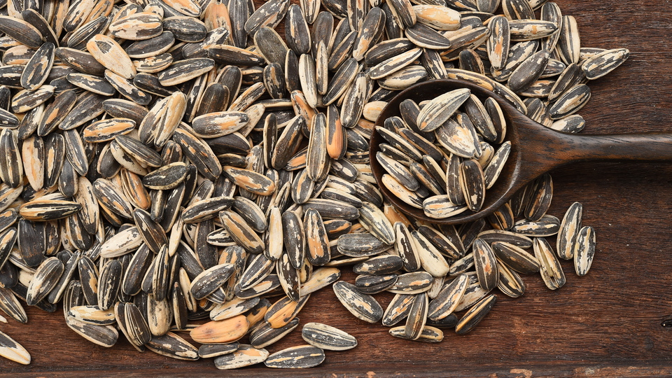 Çekirdeğin öyle bir faydası ortaya çıktı ki...