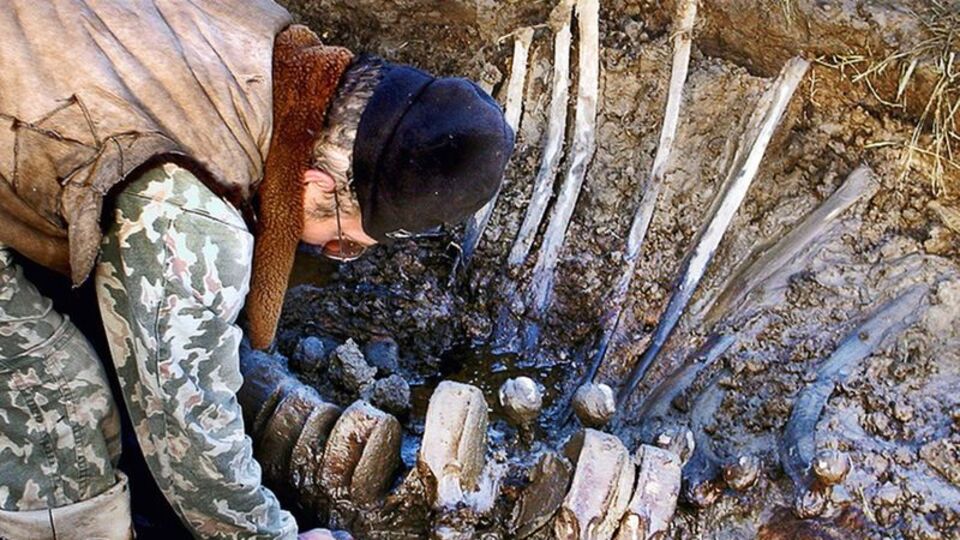 Yakutistan'da mamut fosili bulundu