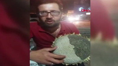 Görenleri şaşırtan ayçiçeği!