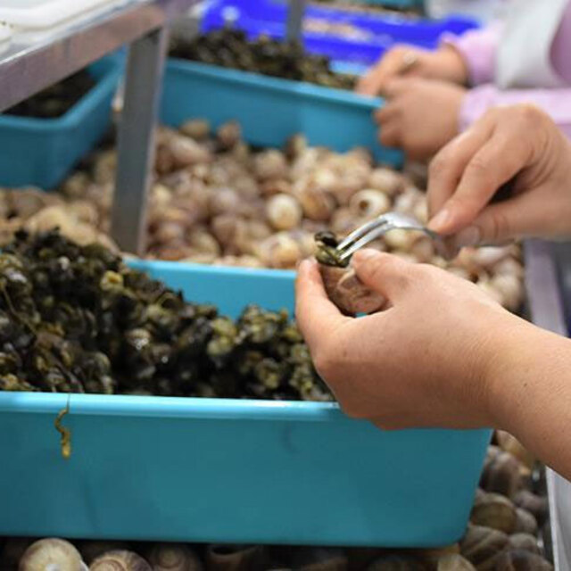 Üretimin tamamı Fransa'ya ihraç ediliyor