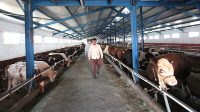 Kurbanlık satışları besicinin yüzünü güldürdü