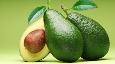 Avokado nasıl yetiştirilir?