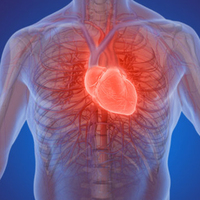 Kalp krizi esnasında sakın bunları yapmayın!