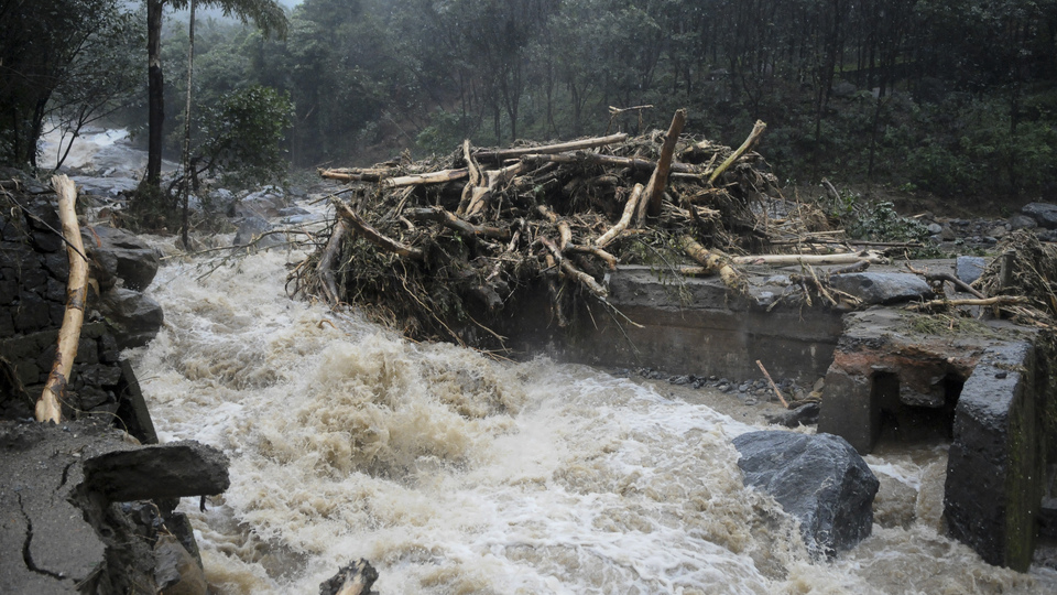 Hindistan'da muson mevsimi 774 can aldı!