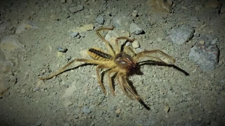 Halk tedirgin! Açıklama geldi