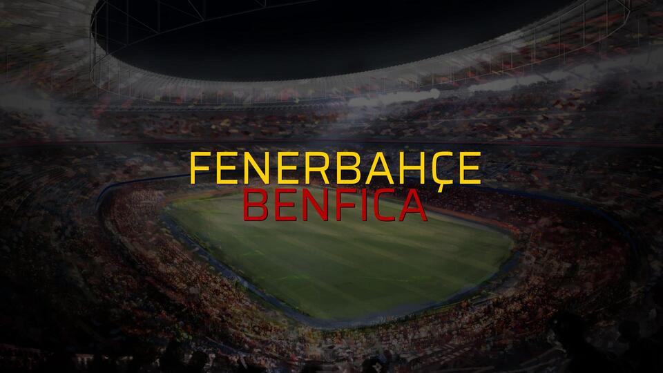 Fenerbahçe - Benfica maçı heyecanı