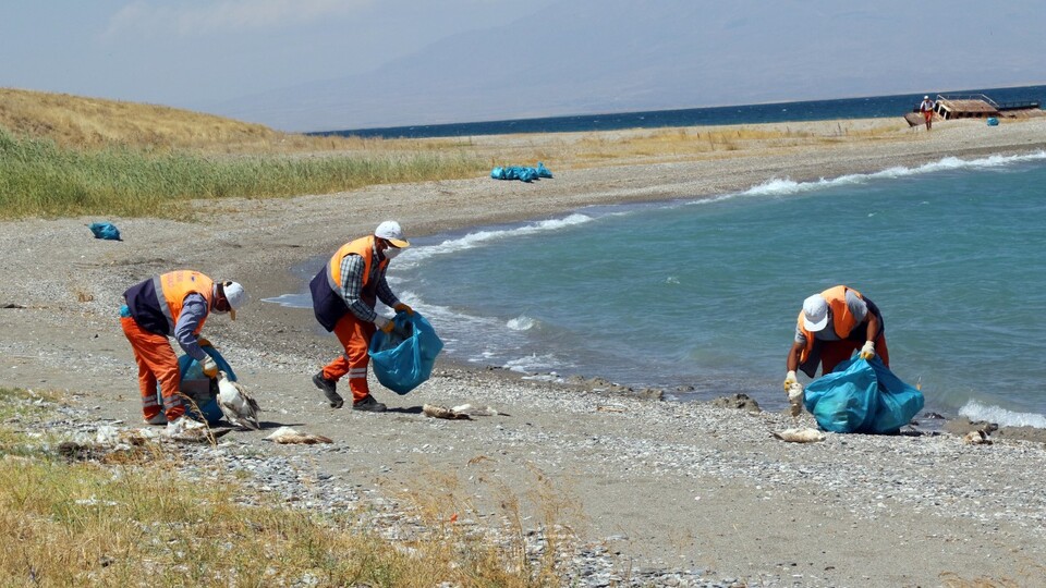 Van Gölü'ndeki kirlilik sorunu dev projeyle çözülüyor