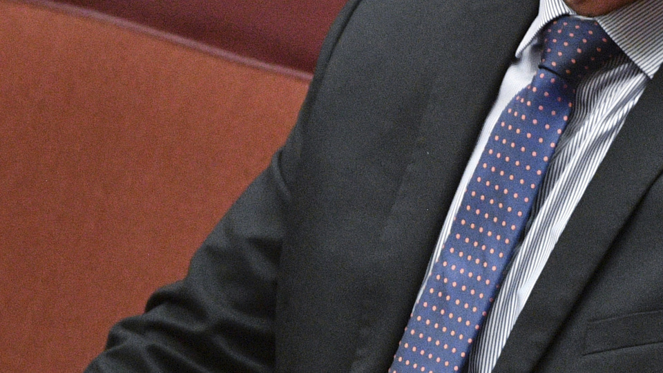 'Müslümanları ülkeye sokmayın' dedi, Avustralya karıştı!