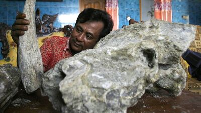 Cezayir'de 3 milyon yıllık fil kemiği bulundu