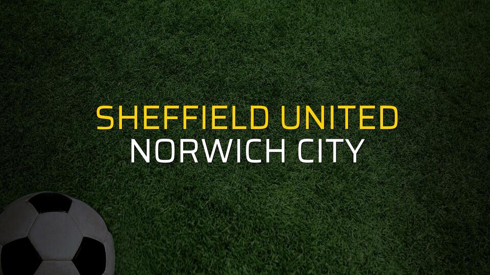 Sheffield United - Norwich City maçı heyecanı