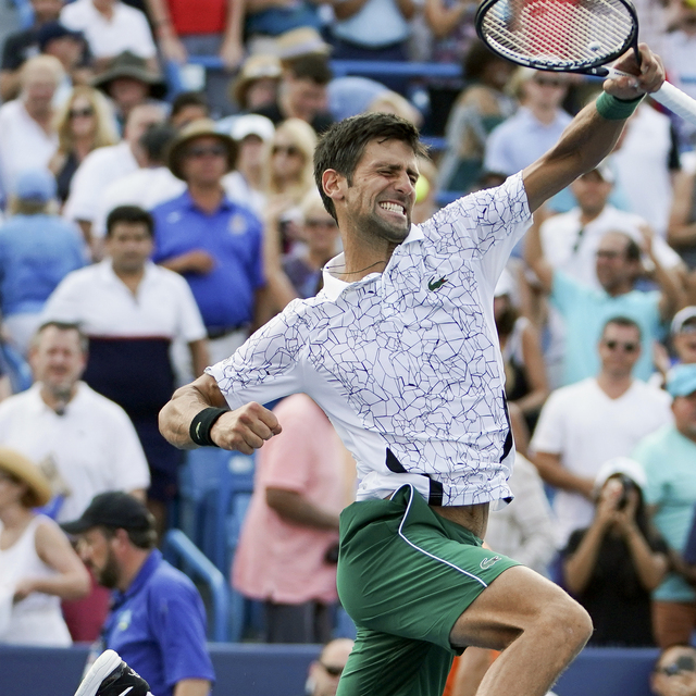 Şampiyon Djokovic