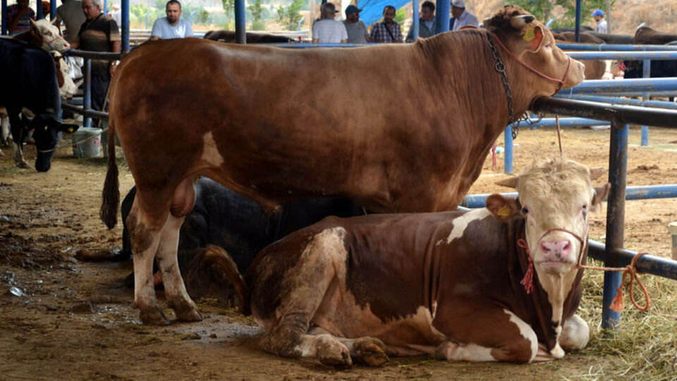 Kurban duası nedir?