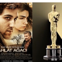 Oscar adayı 'Ahlat Ağacı'na salon cezası