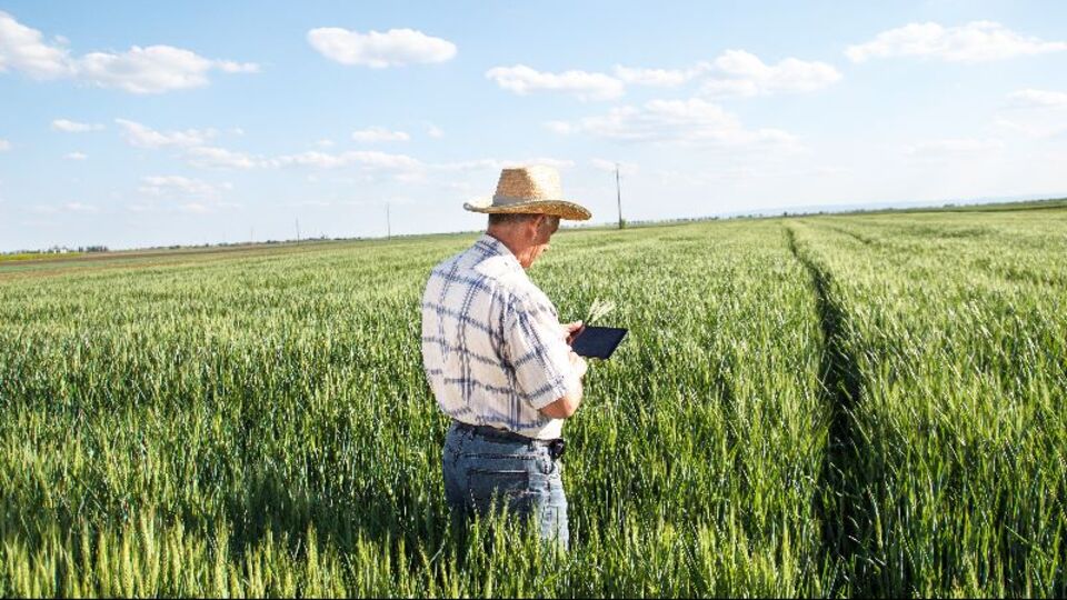 Tarım sigortası emeklilik şartları nelerdir?