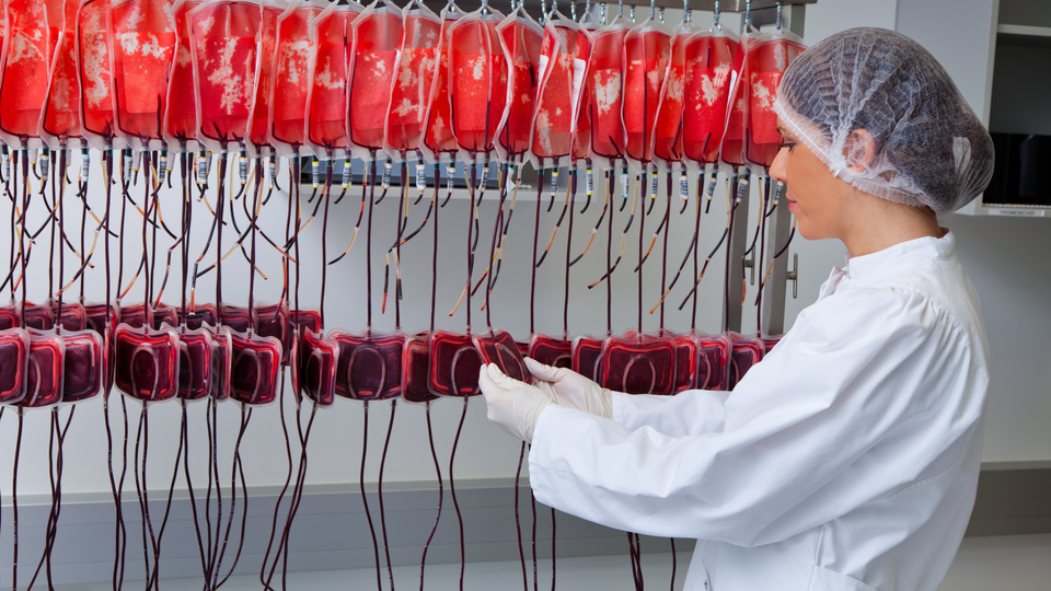 Bilim insanları bunu da keşfetti!