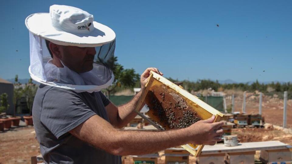 Kanser hastası annesi bal yiyebilsin diye öyle bir şey yaptı ki...