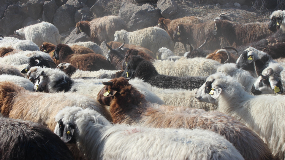 İşte en güzel bayram mesajları